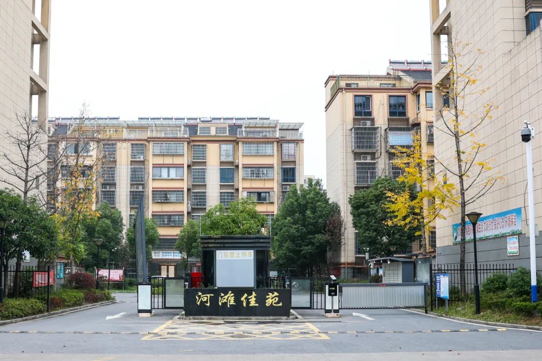 蓉城镇踔厉奋发谋发展勇毅前行谱新篇